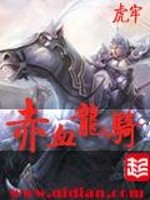 赤血龙骑TXT下载