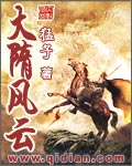 百家讲坛《大隋风云》