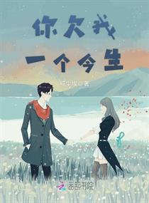 你欠我一个今生小说