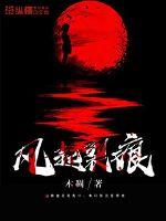 风过裂痕电视剧