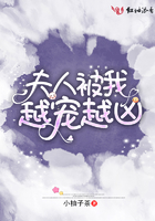夫人被我越宠越凶 小柚子茶