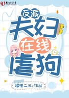 反派夫妇的摸鱼日常小说